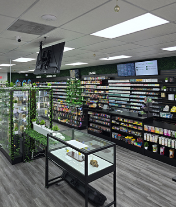 Interior of Smokers Destiny Store showcasing Kava and Kratom products, highlighting a smoke shop franchise opportunities.